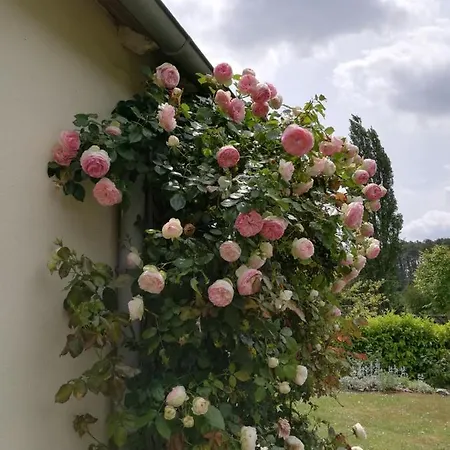 Holiday home Holiday Bas Montant *